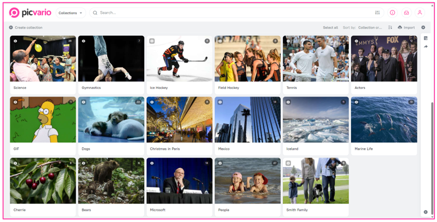 Getting started with the Picvario interface