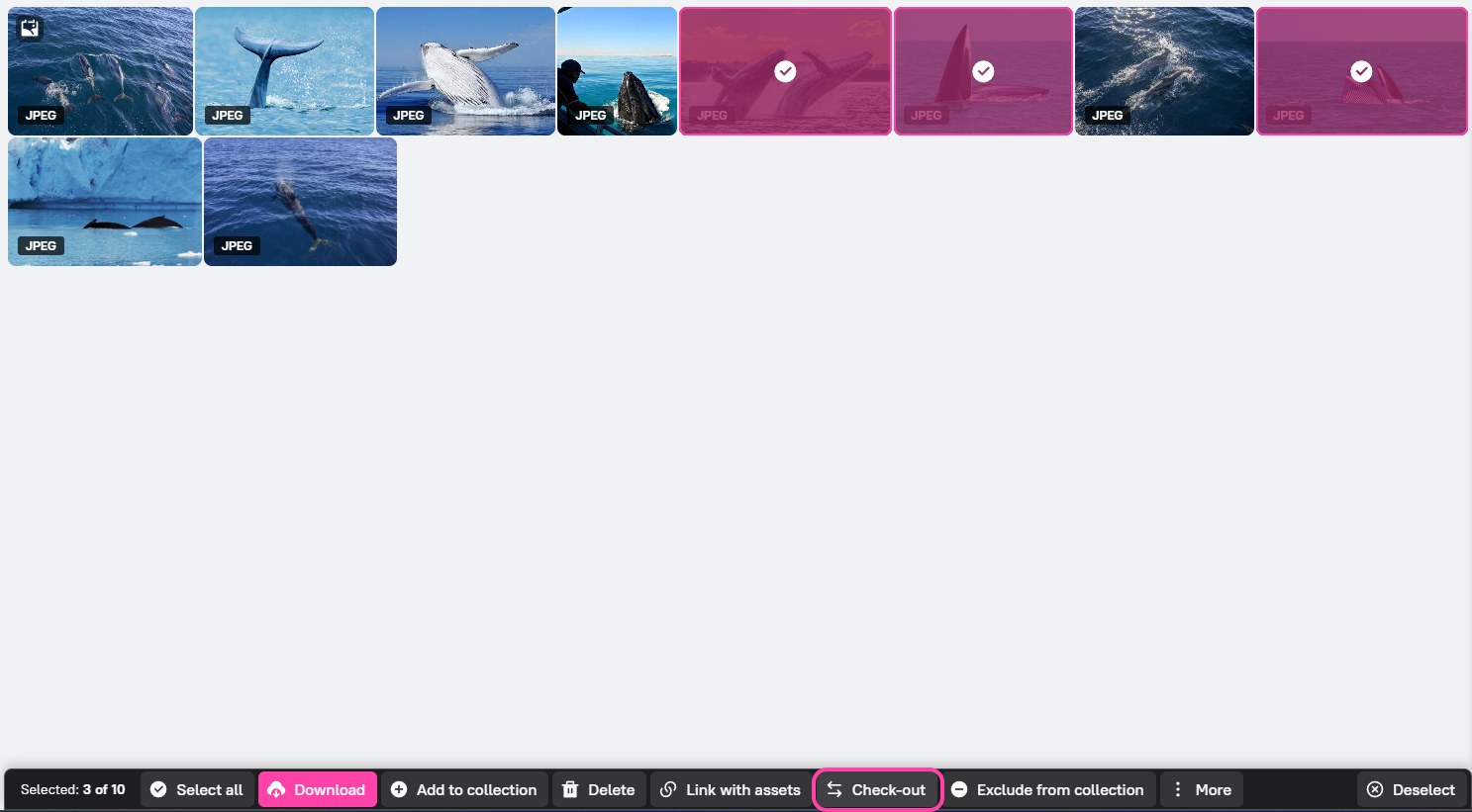 Check-in_Check-out1.1.png