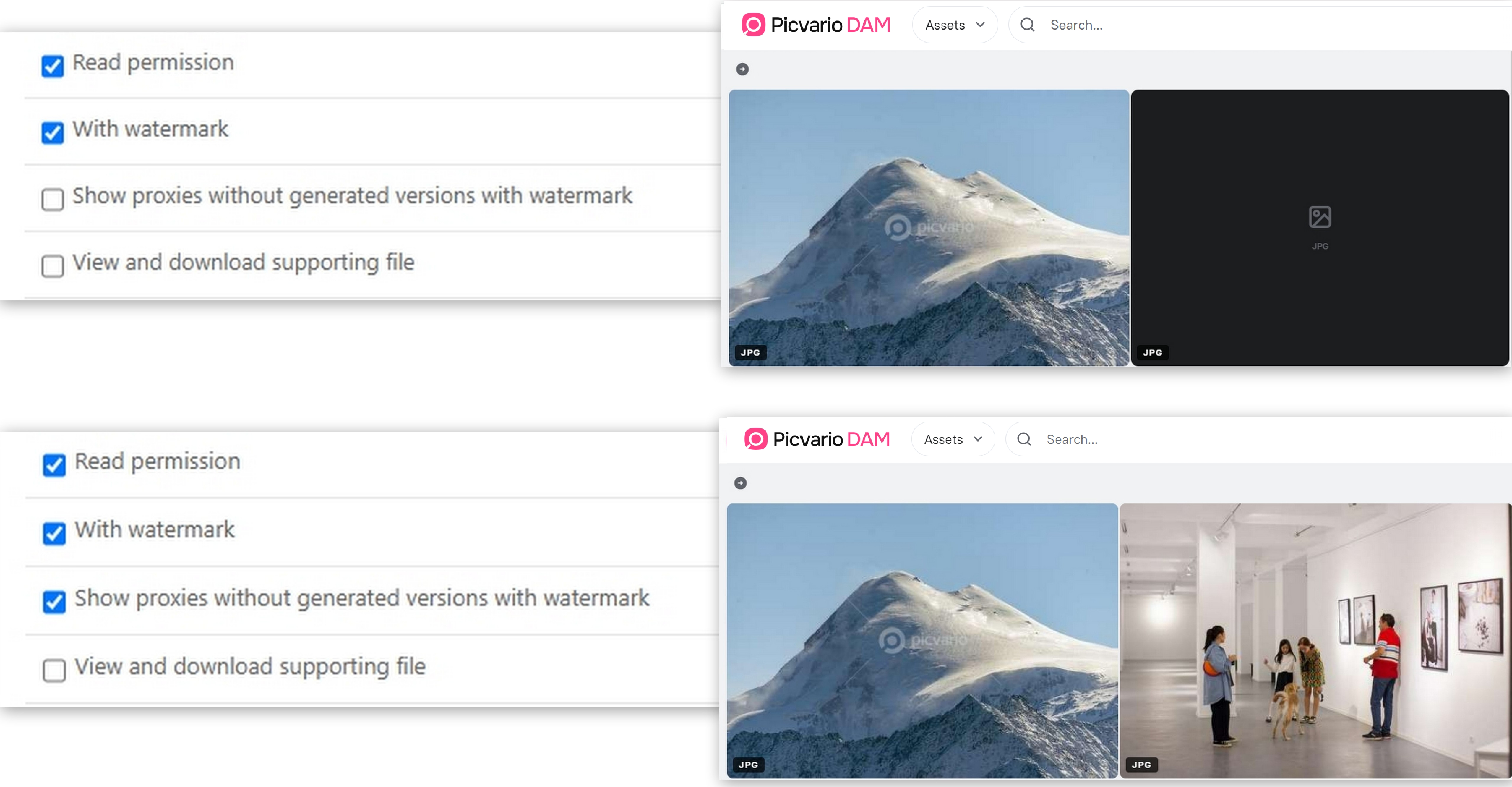 Proxies with watermark copy.jpg