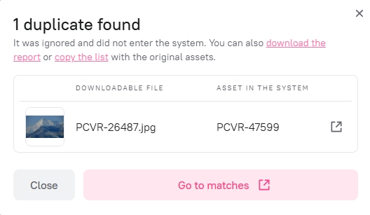 Duplicate.jpg