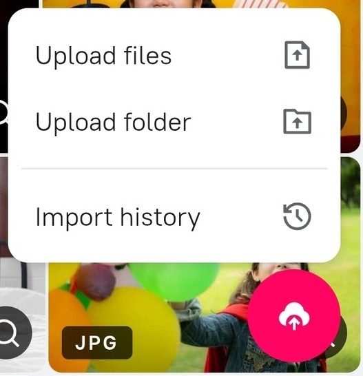 Moblie import menu.jpg